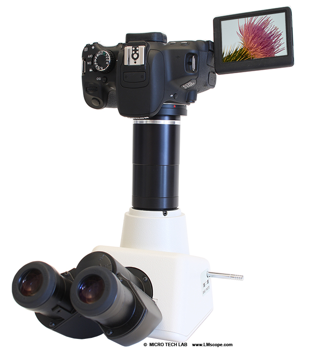 Spezialadapter für Nikon Eclipse mit 38mm Innendurchmesser für Fotomikroskopie
