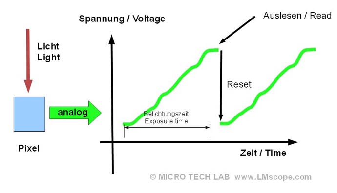 Sensor sensitivity (ISO) in digital cameras