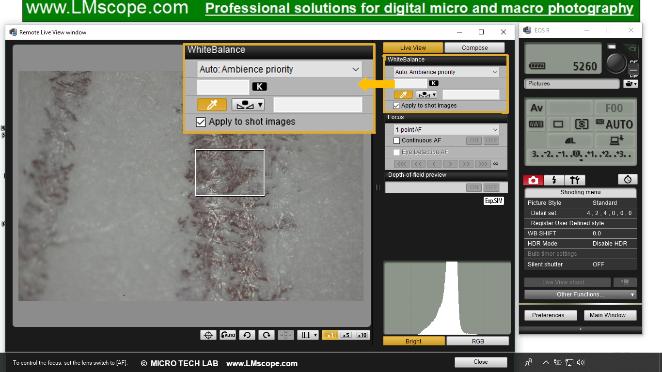 Canon EOS Utility Software: white balance with eyedropper