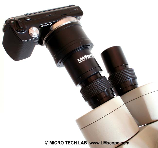Euromex Novex Zoom binocular head with DSLRMT, TUST30S, Sony NEX-5