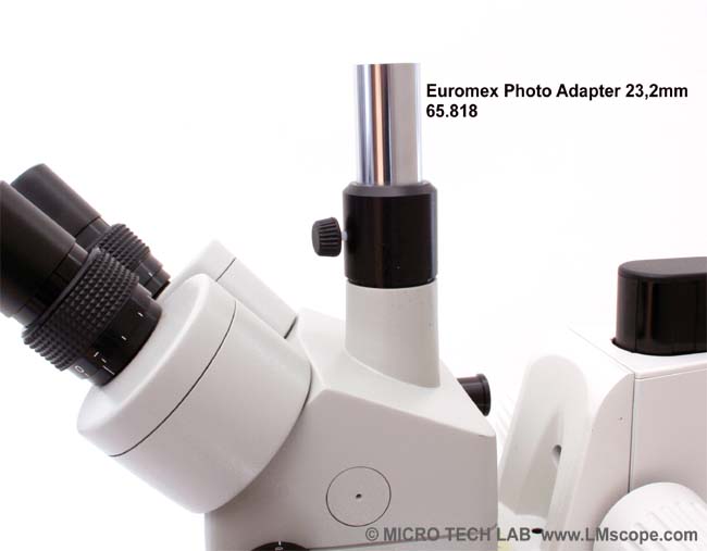 Euromex stereoscope avec photoport 23,2mm