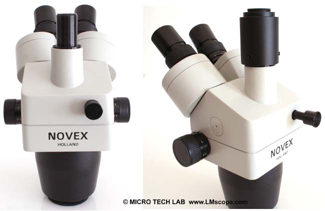 Euromem Novex RZ cabezahl trinocular LM direct Image C-Mount puerto