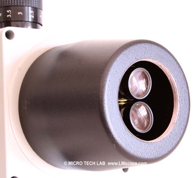 Mikrofotografie Stereomikroskop Doppelter Strahlengang 