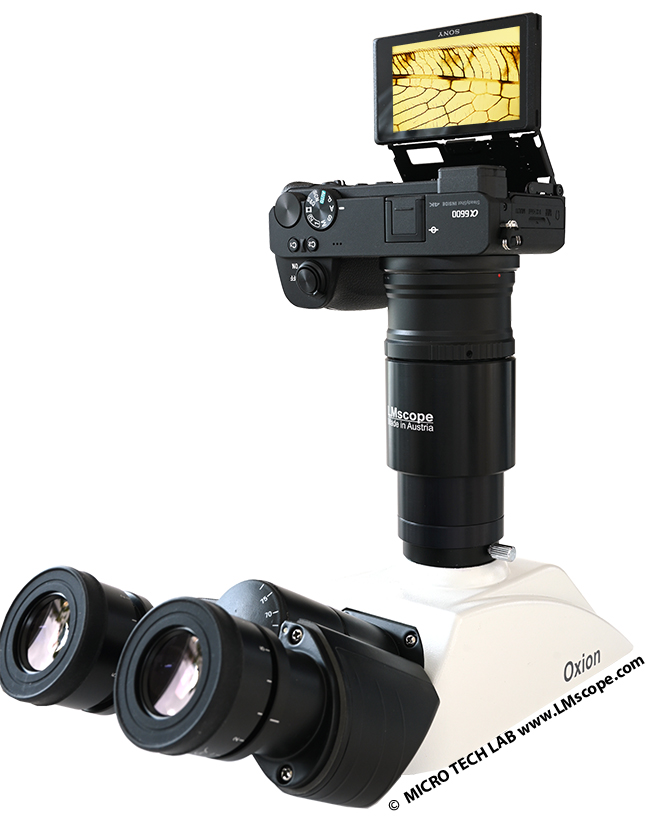 Euromex microscope adapter solution for DSLR system cameras