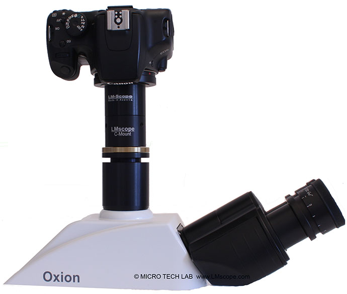 Euromex Oxion adaptor para DSLR fototubo