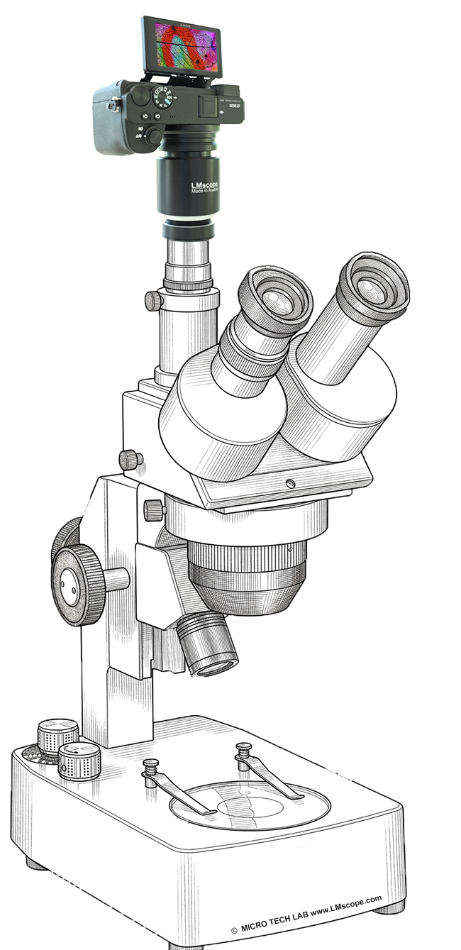 Moderne Digitalkameras auf Euromex Z-Serie Stereomikroskop, LM Mikroskop Adapter