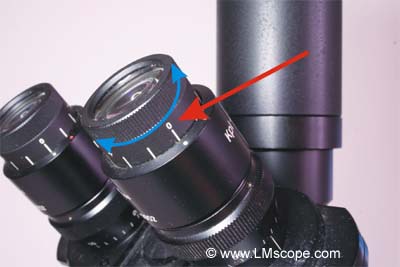 Okulareinstellung Dioptrien für Mikroskope