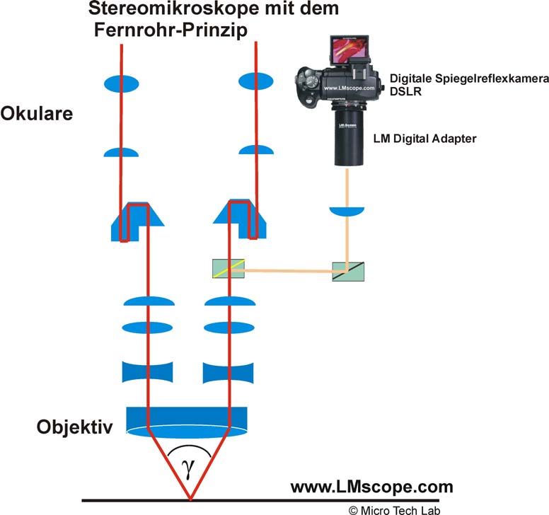 Stereomikroskope Fernrohr Prinzip