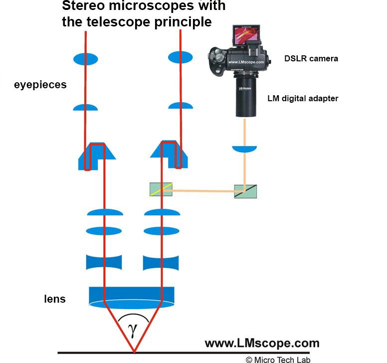 stereo microscope with telescope principle