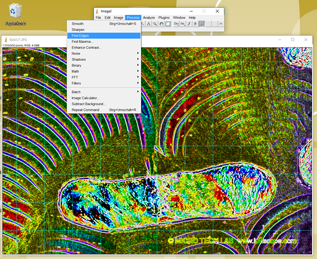 how to measure and work on microscope specimen