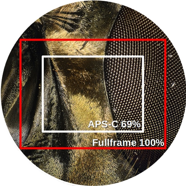 microscope adapter FOV field of view different sensor