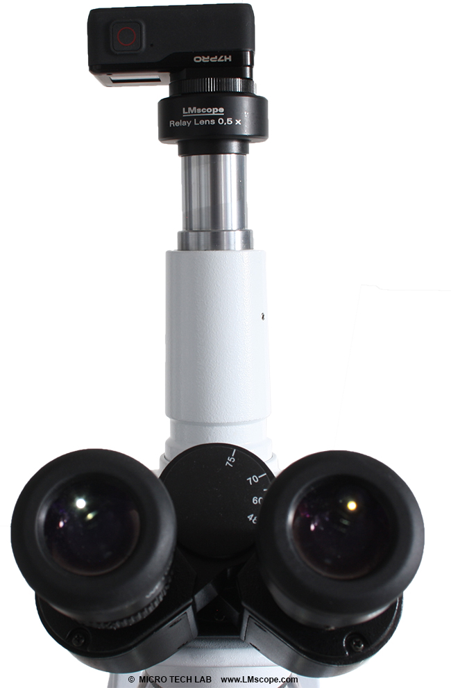 Okullarkamera : kleine C-mount Kamera auf Mikroksop Fototubus mit 23,2mm