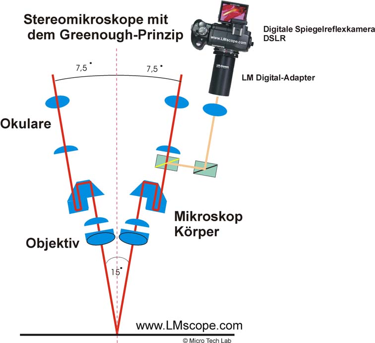 Student microscope, stereo microscope ideally suited for use because of the double beam path