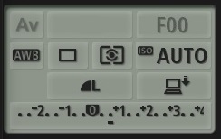 Brightness adjustment with Canon EOS Utility Software Remote Control, Canon EOS as a microscope camera