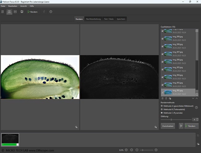 Focusstacking Software fr mehr Tiefenschrfe in der Mikroskopie, Digitalmikroskop,Helicon Software Marko extrem, Anwendung  Kiwischeibe 
