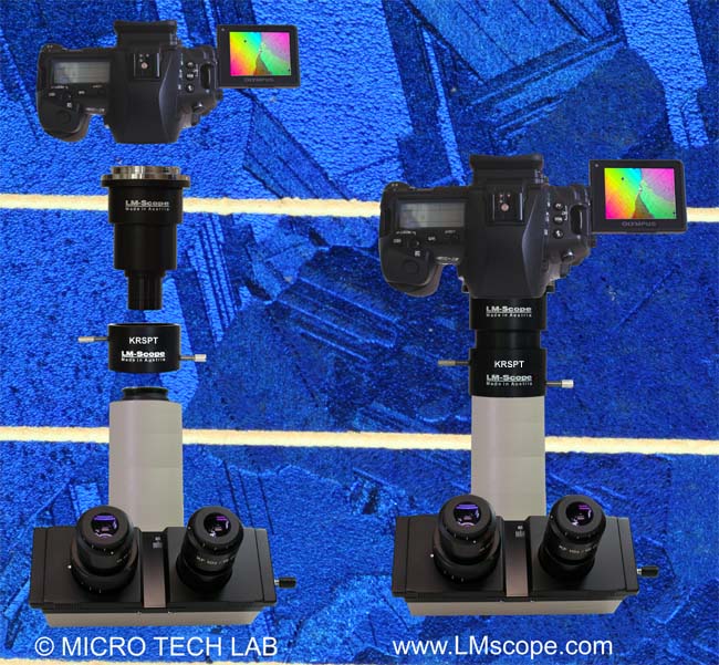 Kameraadapter für alte Olympus Mikroskope mit Fototubus mit 38mm Ringschwalbe