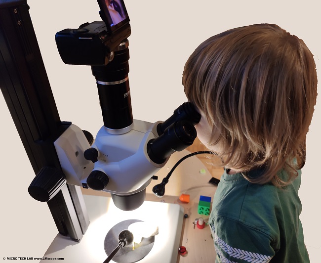 Les enfants dcouvrent le micro-monde : les petits enfants regardent  travers un oculaire, le microscope est quip une connexion pour appareil photo numrique avec adaptateur de microscope