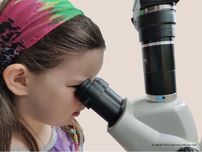  Children discover the world under the microscope, entry-level microscope, discover the micro-world, digital photography