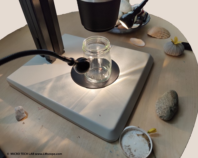 Student microscope, large base plate offers enough space for the preparations, important LED lighting