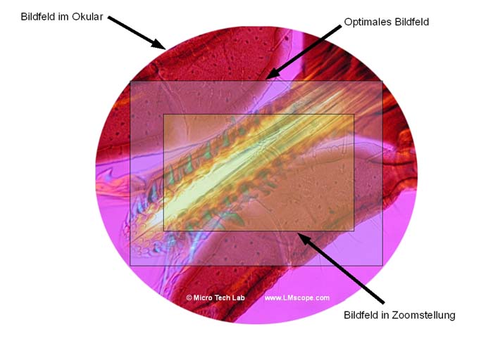 optimal field of view with zoom cameras