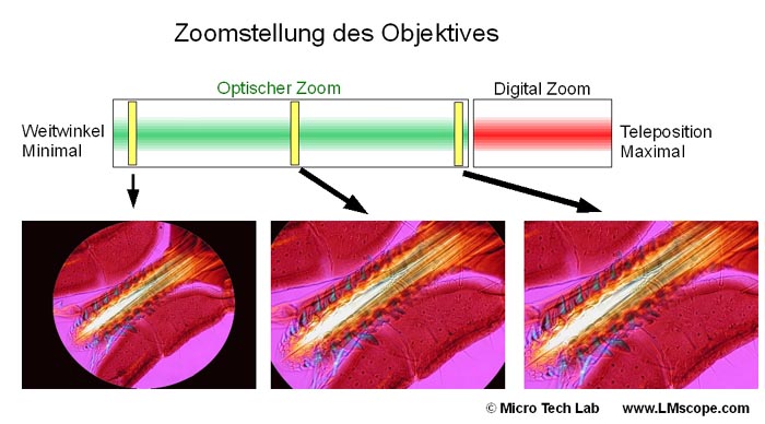 optimal zoom setting WolfVision microscopecamera