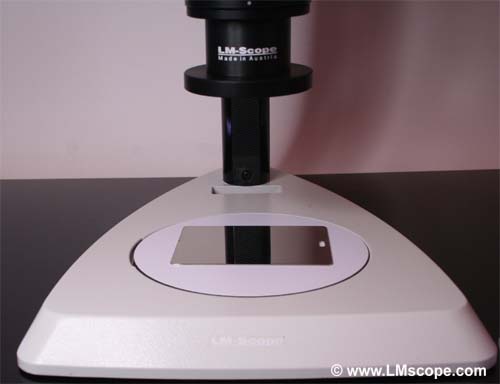 gnstige Durchlichteinheit fr Mikroskopie Makroskopie