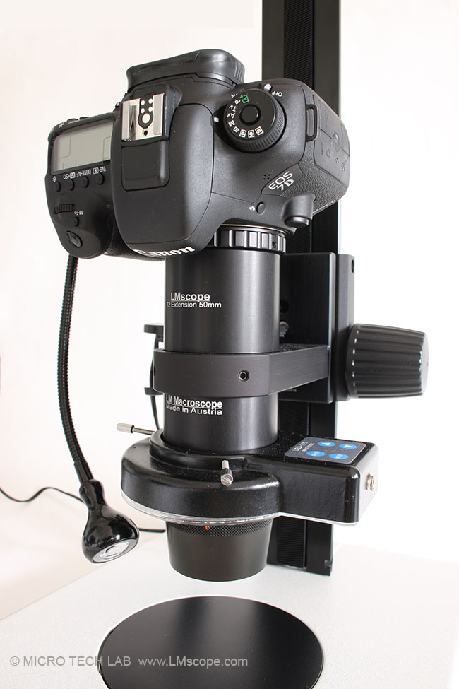 LM macroscope 9x with Canon DSLR