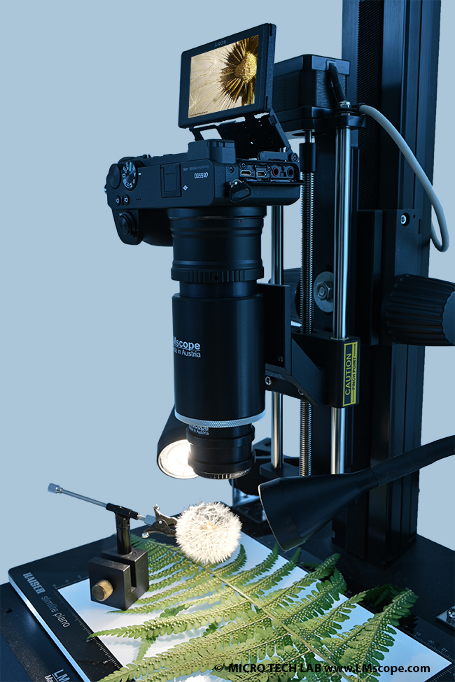 Macroscope LM avec caisson lumineux Sony alpha macro-extreme macro-extreme lumière transmise