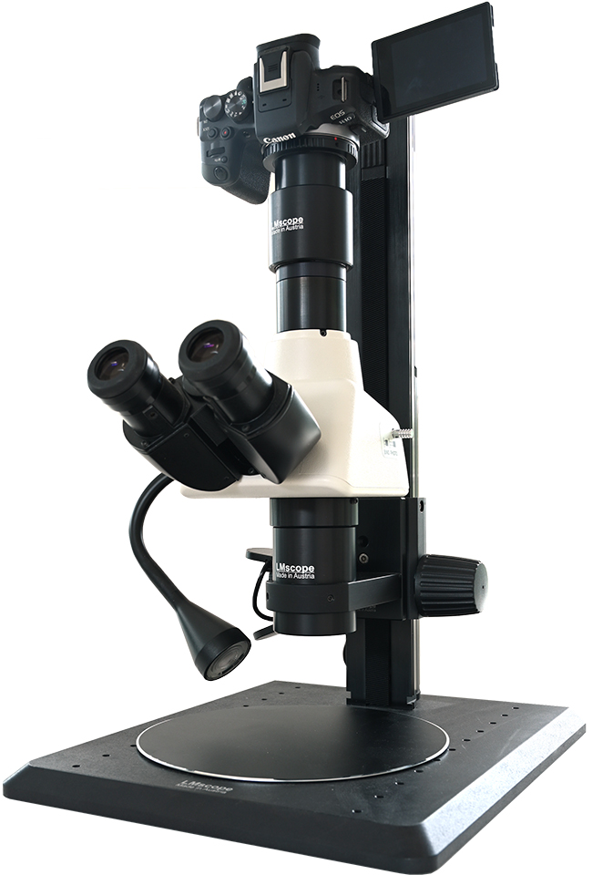 LM Photomikroskop mit Trinokulartubus DSLR DSLM