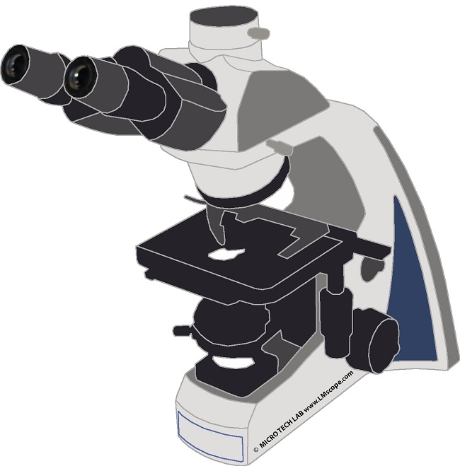  LW Scientific i4 photomicroscope adapter solution, equip with digital camera