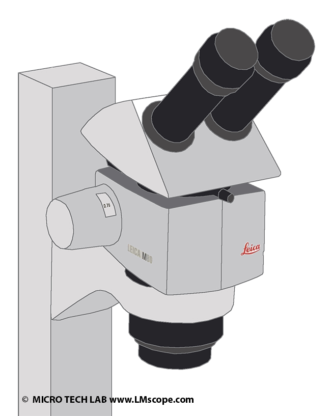 Digital cameras on the Leica M-Series M50 M60 M80 stereo microscope Abbe telescope