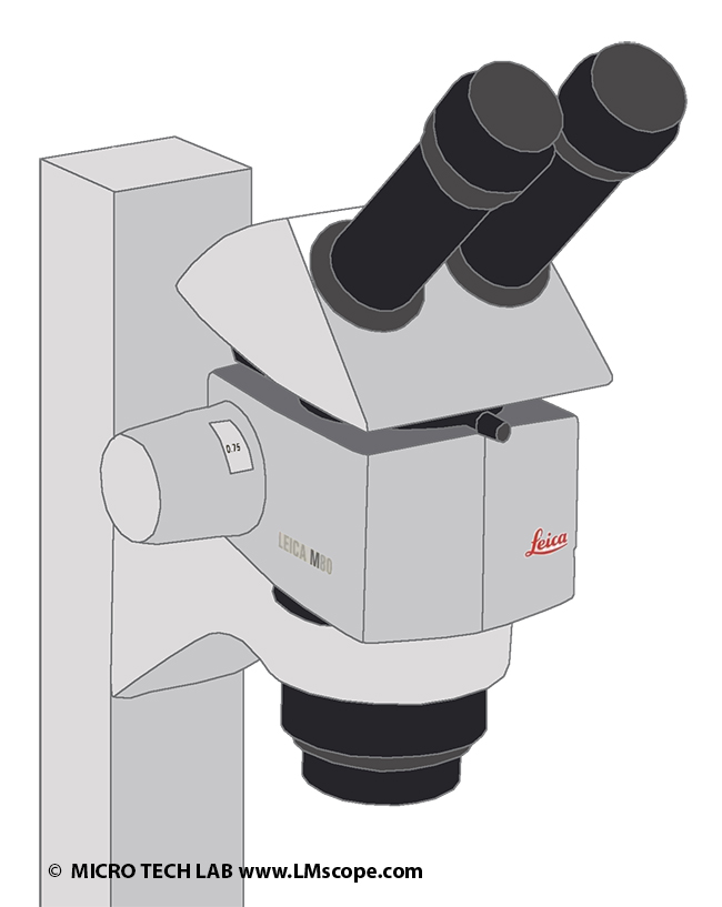 Digitalkameras am Leica M-Serie M50 M60 M80 Stereomikroskop Abbe Fernrohr