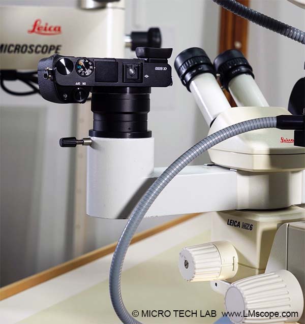 Leica Stereomikroskop mit DSLM Systemkamera