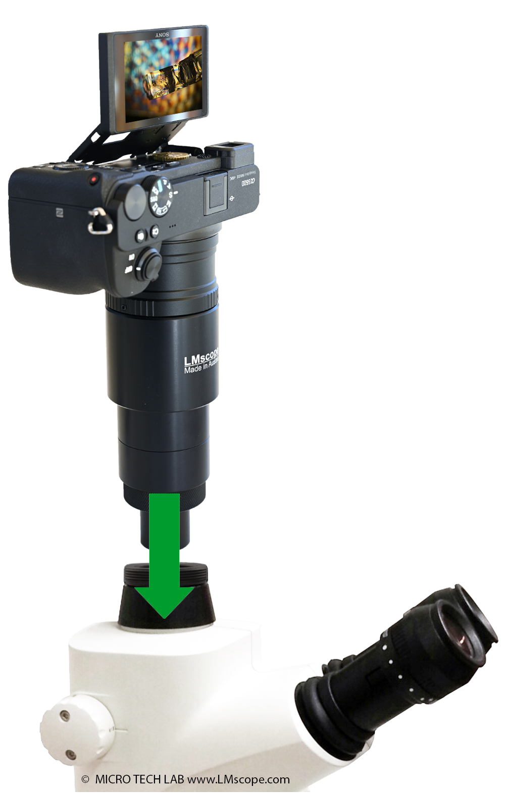 Leica M-Serie Fototubus Adapterlsung Mikroskopadapter, Moderne Digitalkameras, hchste Bildqualitt