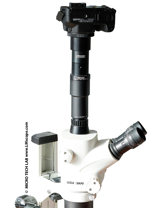 Leica S8 APO S8APO Stereomikroskop apochromat Adapterlösung