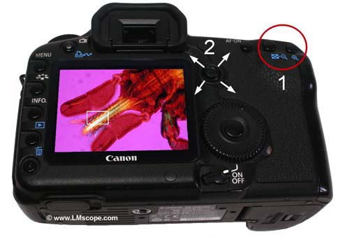 Canon EOS 5D Mark II función de ampliación microscopio