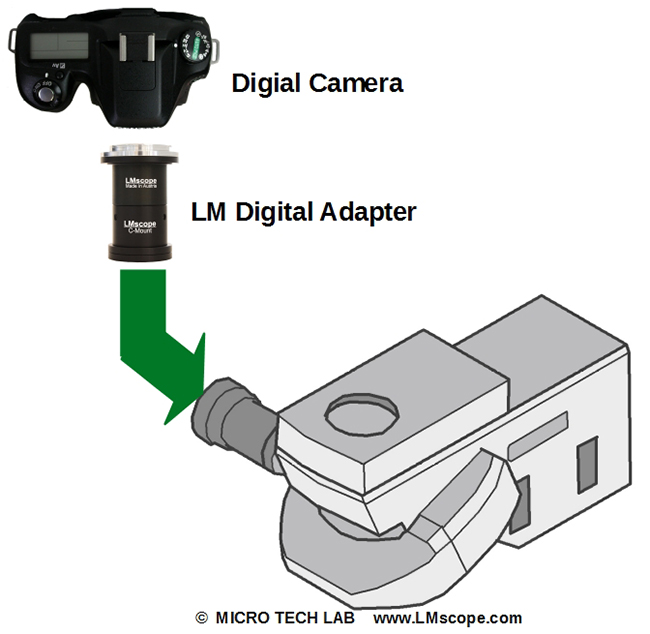 Zeiss Axio Examiner dual camera system