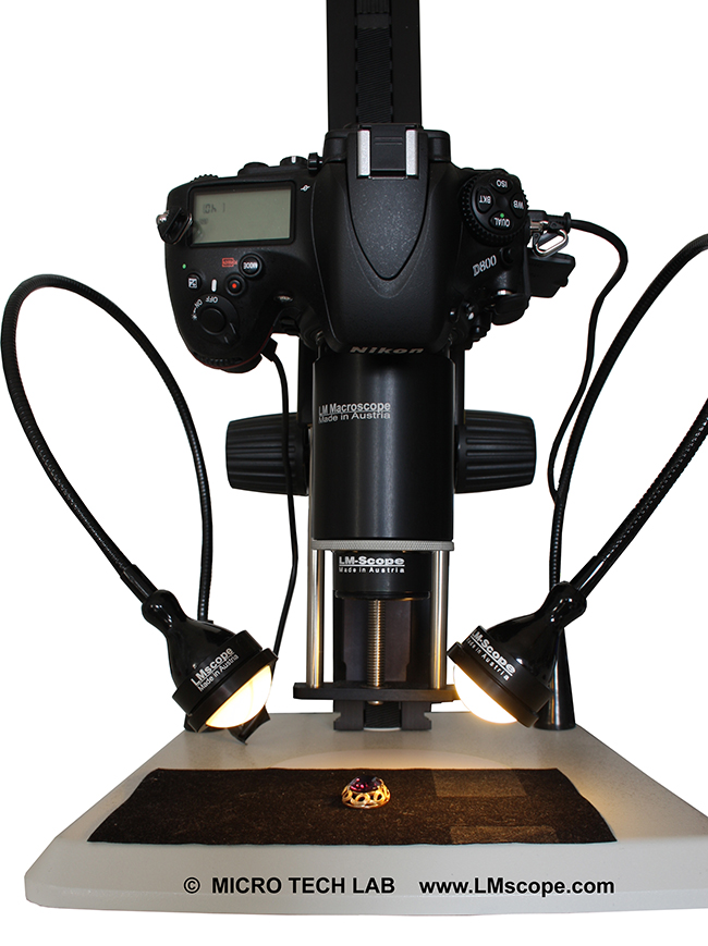 LM Makroskop 9x motorisierter Schlitten