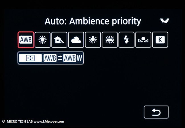  Canon EOS 10R white balance