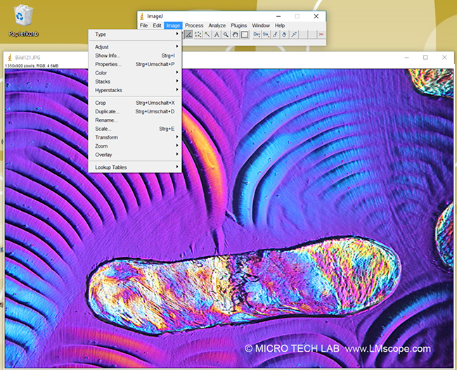 Stacks und Hyperstacks auf ImageJ