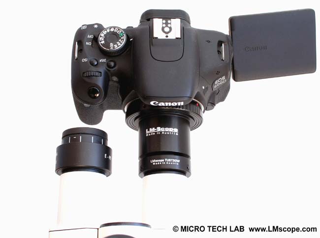 Canon Kamera mit LM Adapter an einem Stereomikroskop