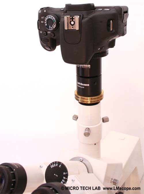 LM Microscope adapter: Mounting the Canon EOS 600D camera via the phototube