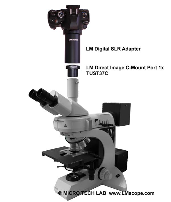 microscope Leica à phototube  trinoculaire, port monture C et adaptateur LM