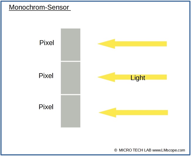 Monochrome sensor pixel light transmission