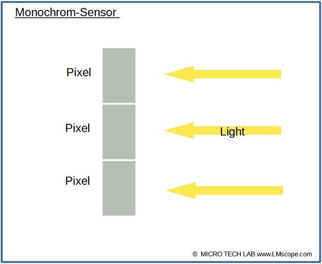 Monochrom Sensor Pixel Lichtdurchlssigkeit