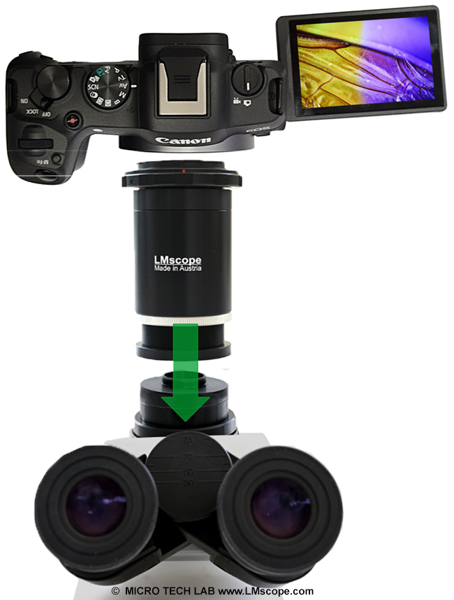 Montage Adapterlsung Kamera Canon EOS R8 am MIkroksop