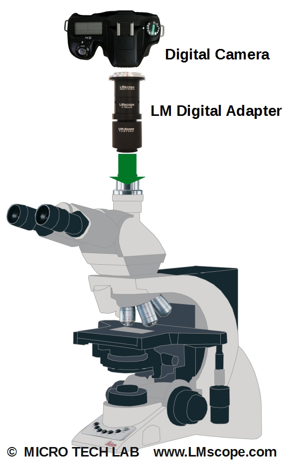 DM 3000 mit Fototubus und LM Digital Adapter