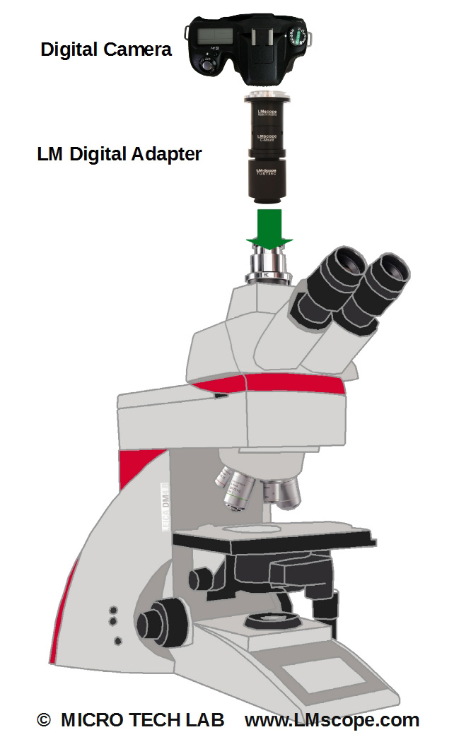 Leica Mikroskop mit Fotoport
