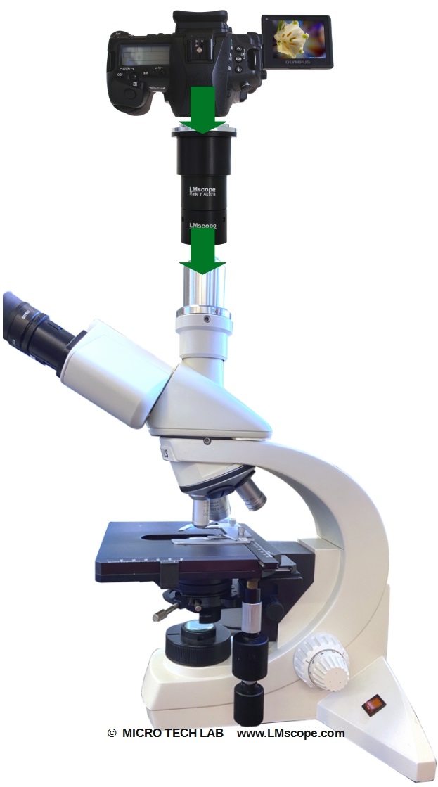  Adapter cmount sleeve microscope camera, digital camera on photo tube, photo attachment