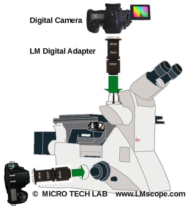 Connect Leica inverse microscope Sony Nikon Canon DSLR adapter